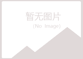 博白县夏岚建筑有限公司